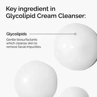 glycolipid 2.webp