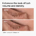 lash 1.webp