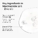 nia 3.webp