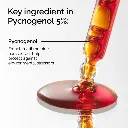 pyco 1.webp
