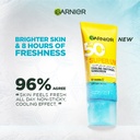 8--Garnier-Cooling-Gel-8901526680573.jpg