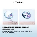 L_orealmicellarwaterArtboard3-100.webp