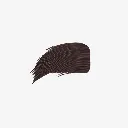 bronw.webp