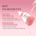 PDRN-Pink-Peptide-Serum-MEDICUBE-3.jpg