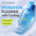 Hyaltoin-Flooding-Toner-EQQUALBERRY-2.jpg