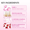 NAD-Peptide-Boosting-Cream-EQQUALBERRY-4.jpg