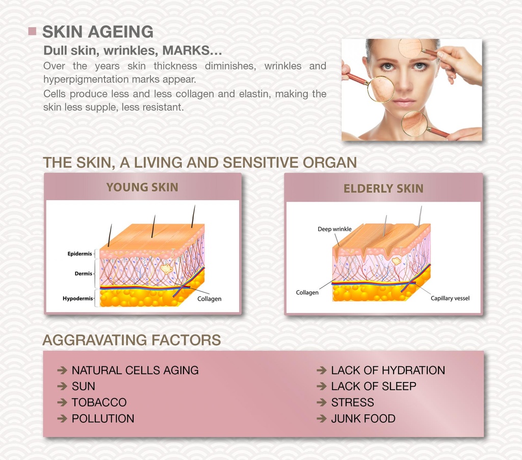 banner-ageing-1.jpg