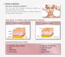 banner-ageing-1.jpg