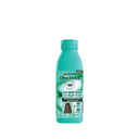 Garnier Ultra Doux Hair Food Aloe Vera & Coconut Shampoo