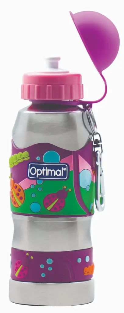 Stainless Steel Water Bottle 450ml