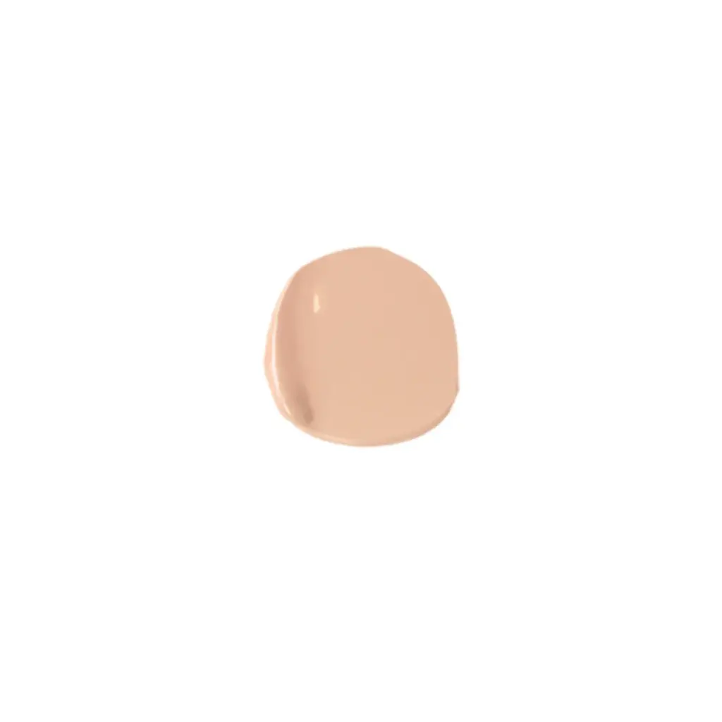 Matt Skin Envy Poreless Skin Foundation