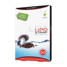 [IN096160] Lipoatrap 30 capsules Novadiet 30 Cap